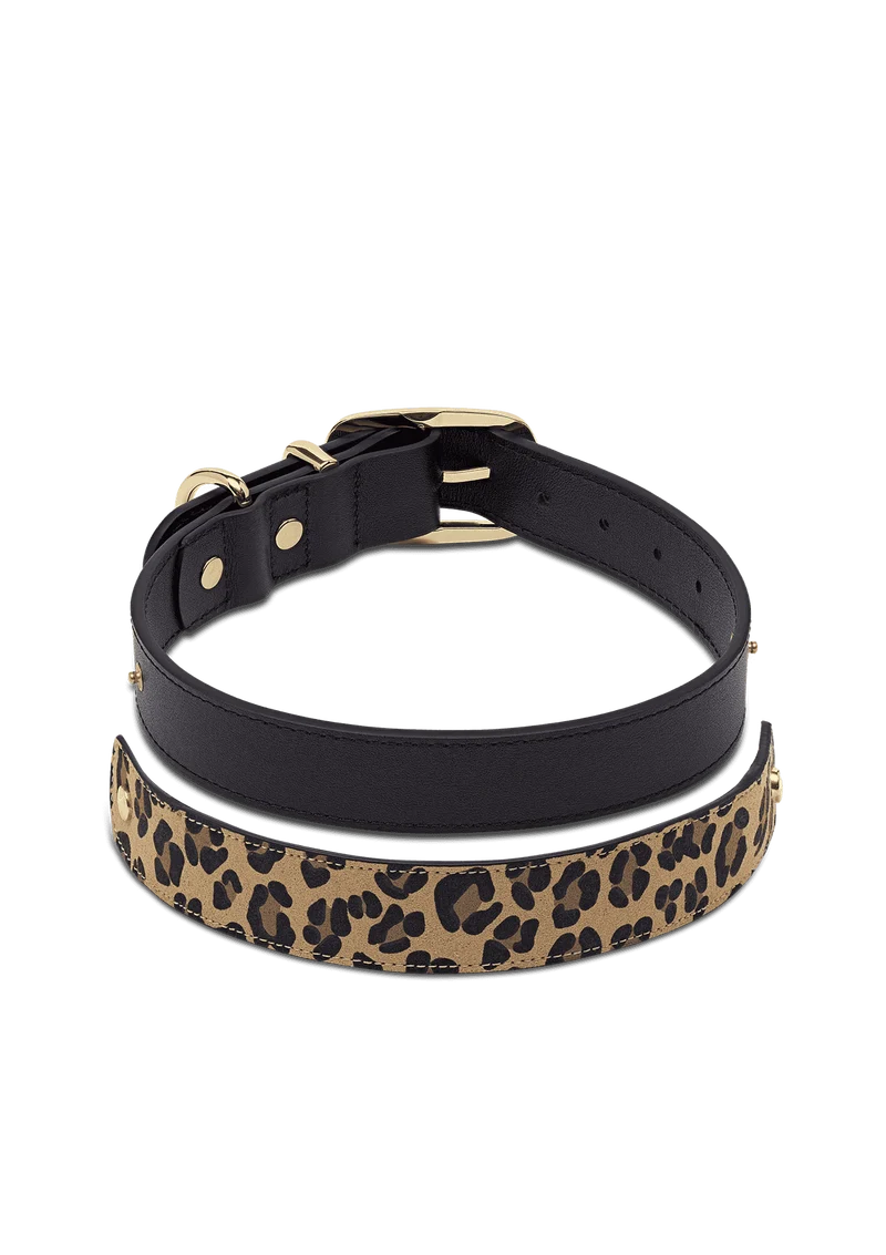 Animal Print - Classic Dog Collar L