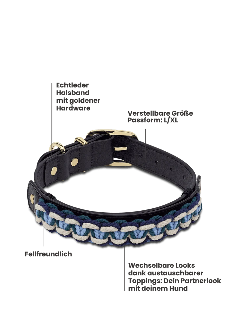 Nautic Vibes - Classic Dog Collar L