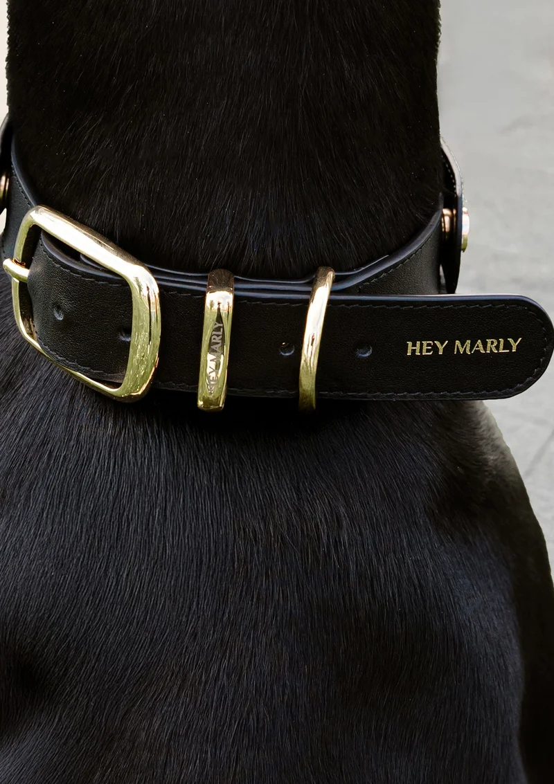 Classic Dog Collar L - Black