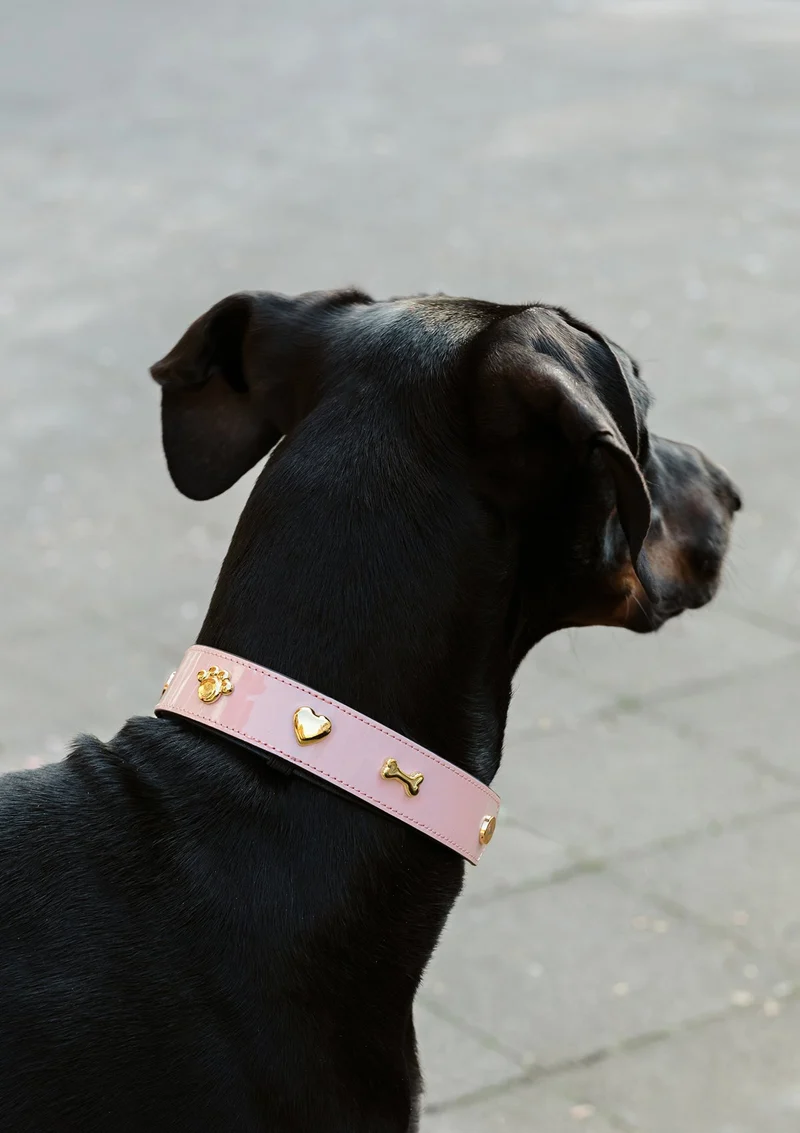 Dog Topping City Gloss L - Rose Light