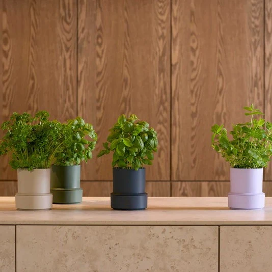 Kräutertopf Billund Self Watering Pot | Parsley