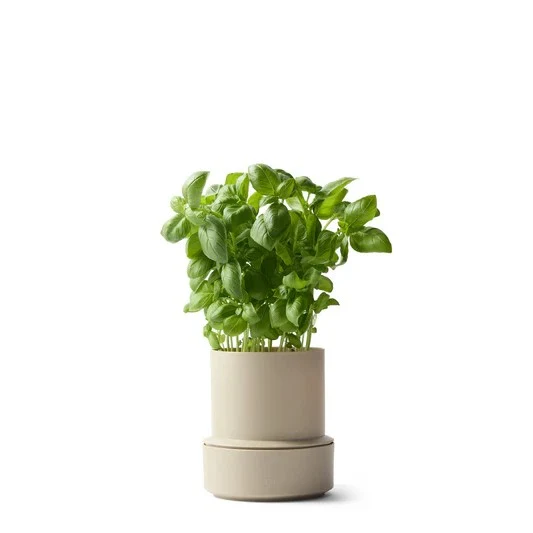 Kräutertopf Billund Self Watering Pot | Cumin