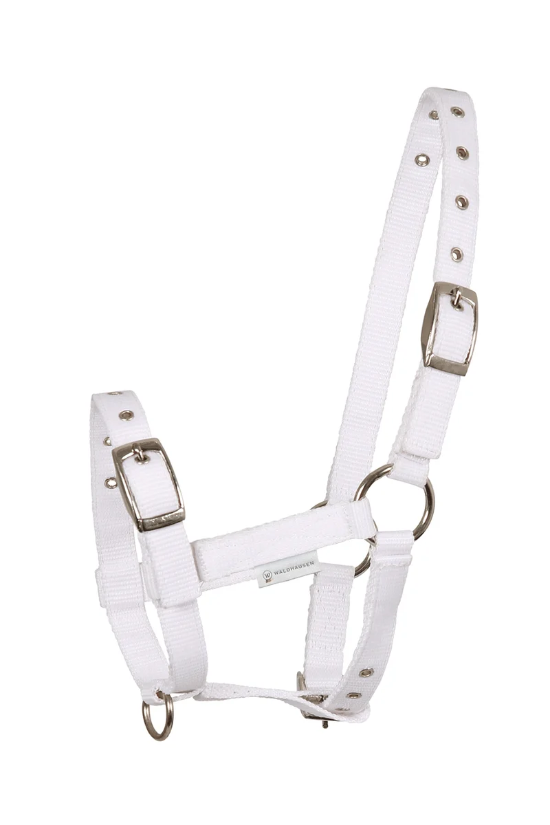 Triple Fohlenhalfter White Fohlen