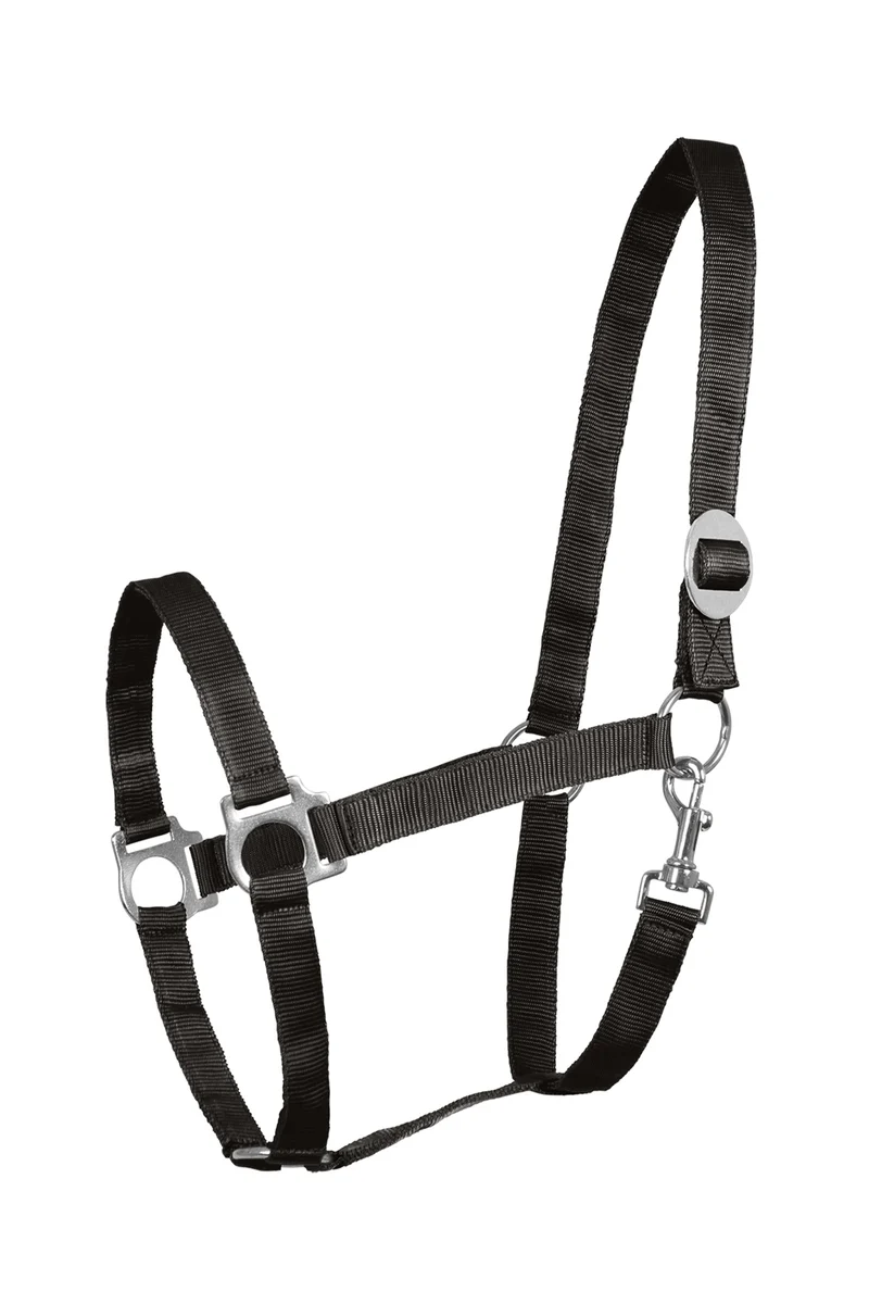 Perlon Halfter Black SHP
