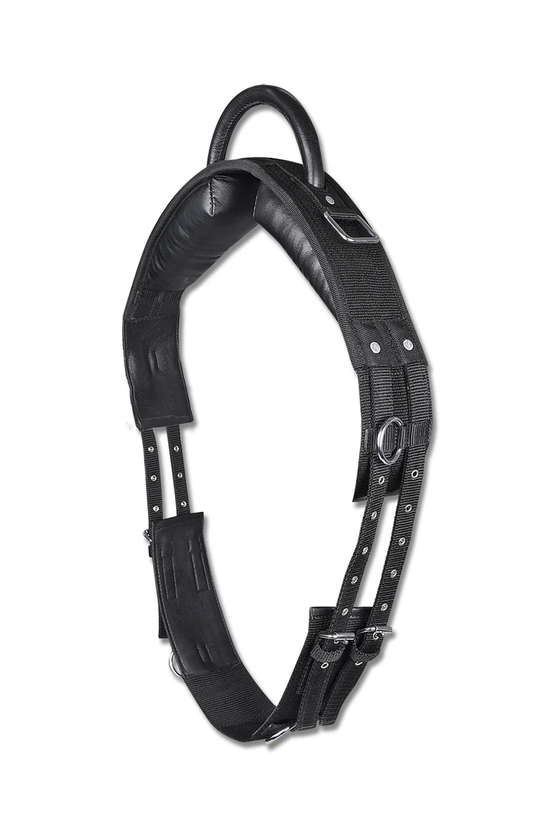 Longiergurt Black WB