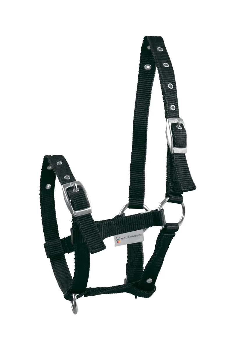 Triple Fohlenhalfter Black Fohlen