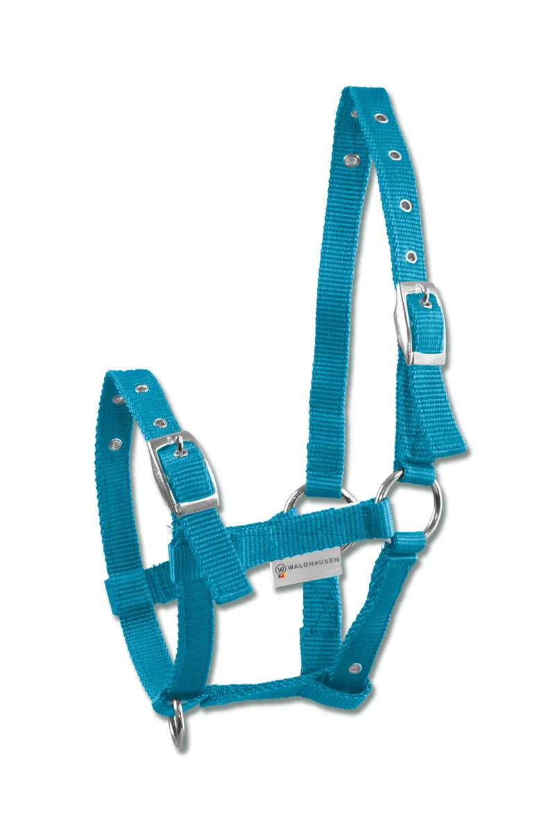 Triple Fohlenhalfter Azure Blue Fohlen