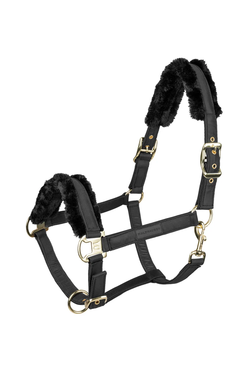 Exclusive Halfter Black/Black WB