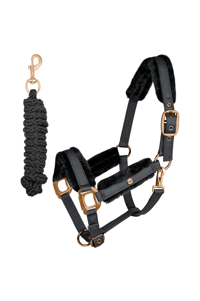 Phoenix Halfter Set Black V