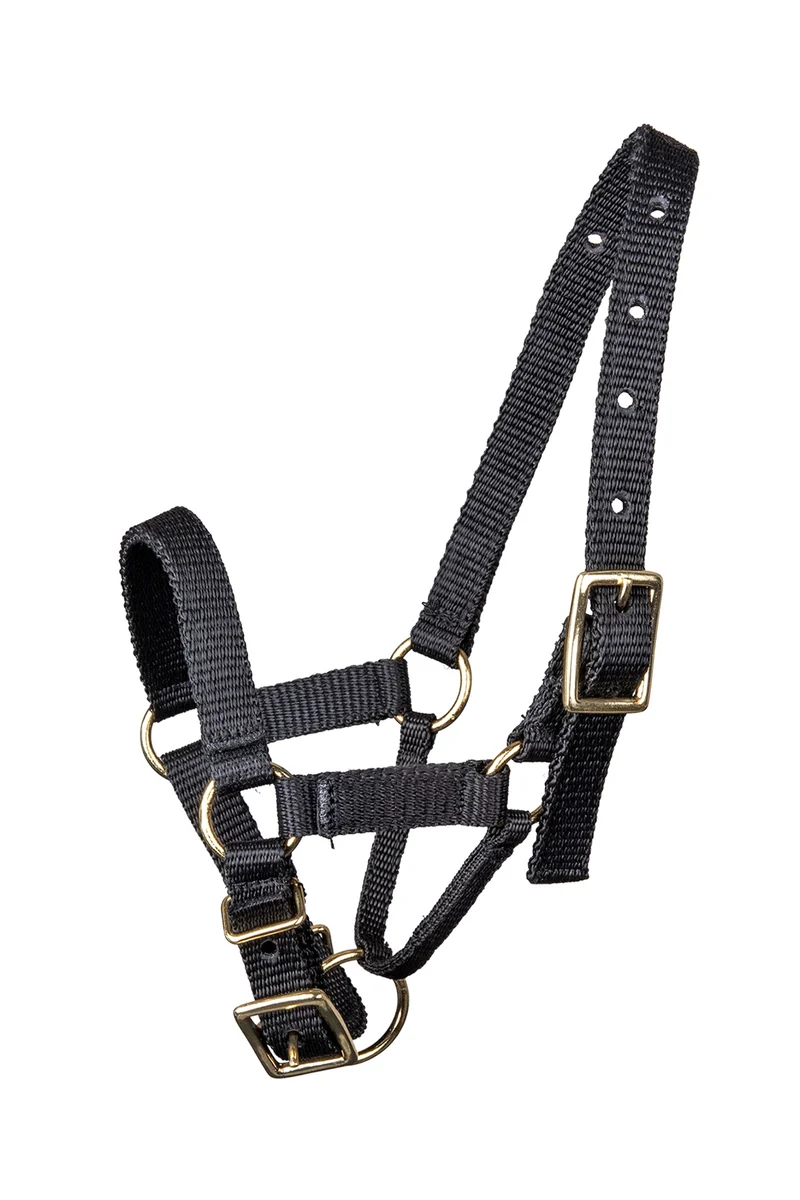 Alpaca Halfter Black M