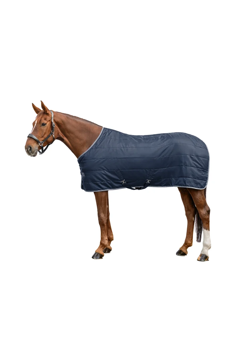 ECONOMIC 420D Stalldecke, 300 g Night Blue 155