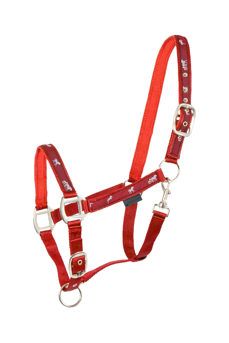 Little Horse Motivhalfter Red P