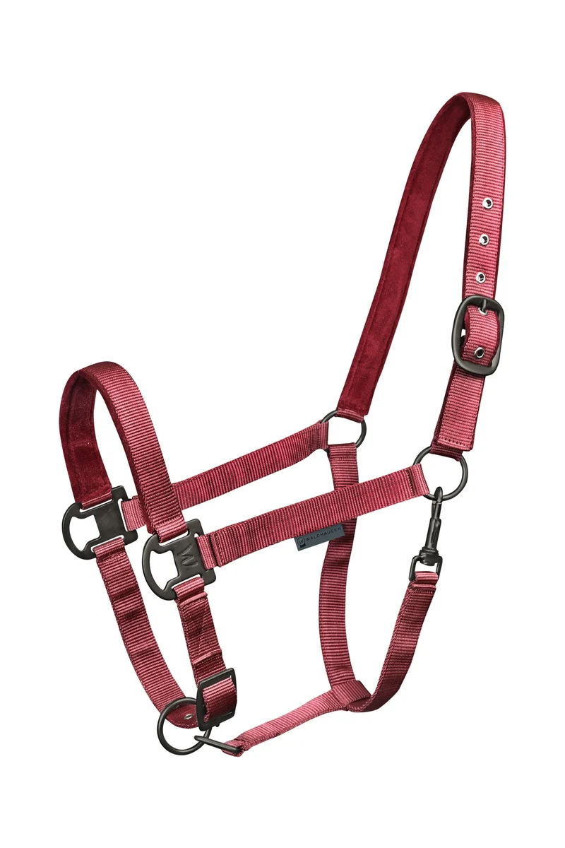 Gloomy Halfter Bordeaux P