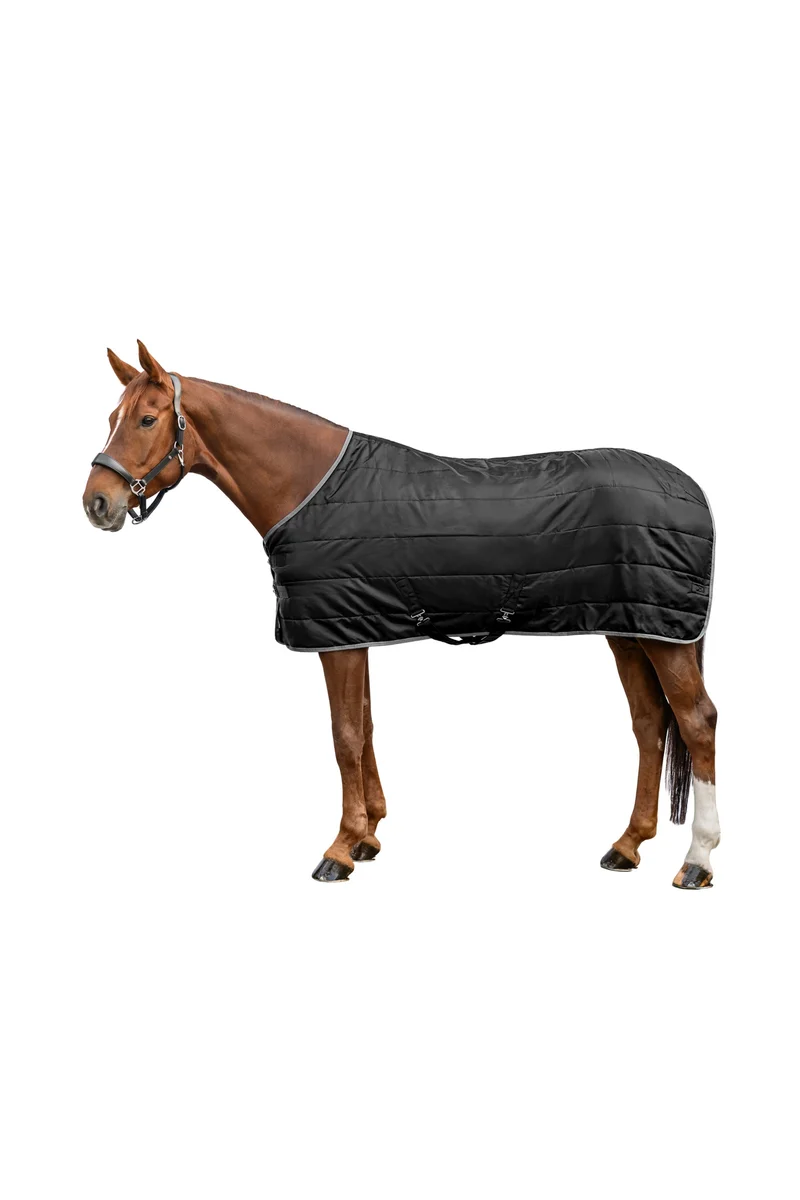 ECONOMIC 420D Stalldecke, 300 g Black 155