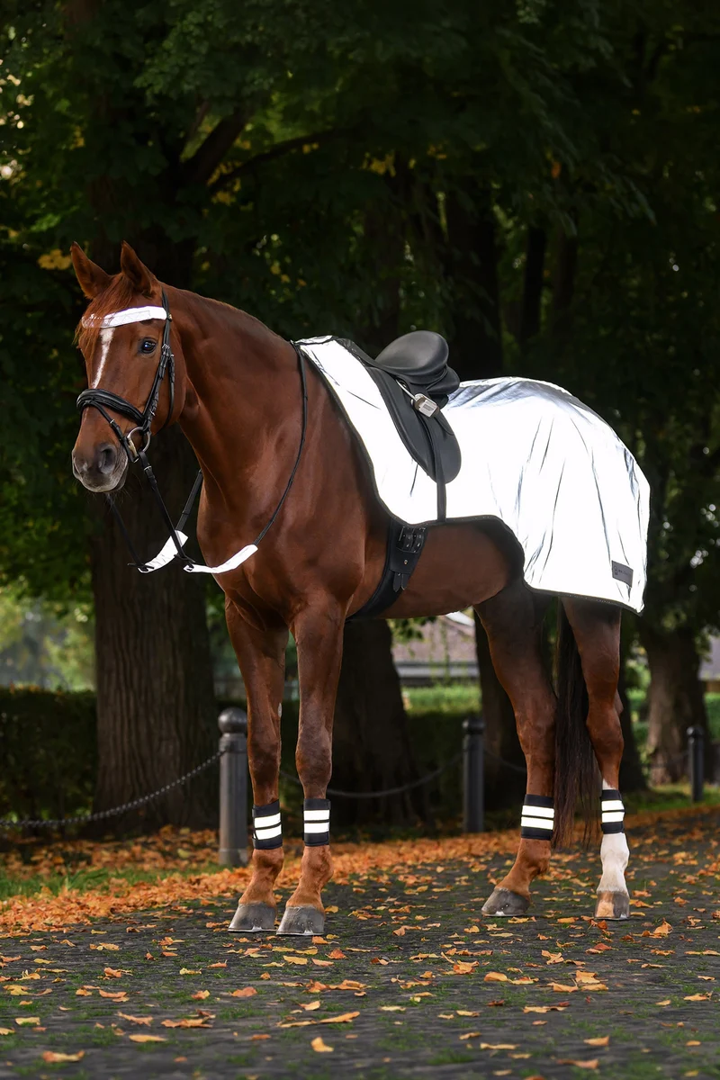 REFLEX Trainingsdecke Silver Grey V