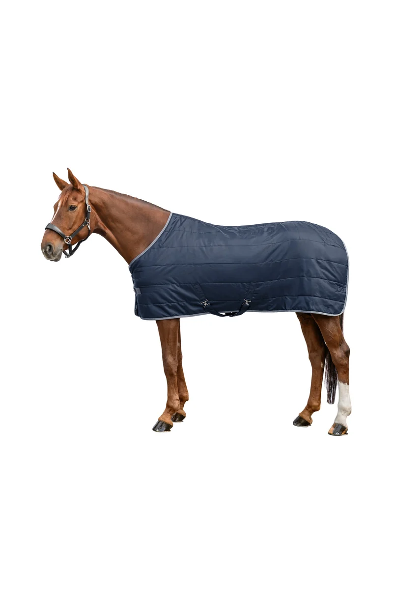 ECONOMIC Stalldecke, 200 g Night Blue 155