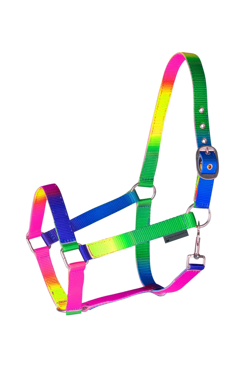 Neon Rainbow Farbiges Halfter Neon Multicolor V
