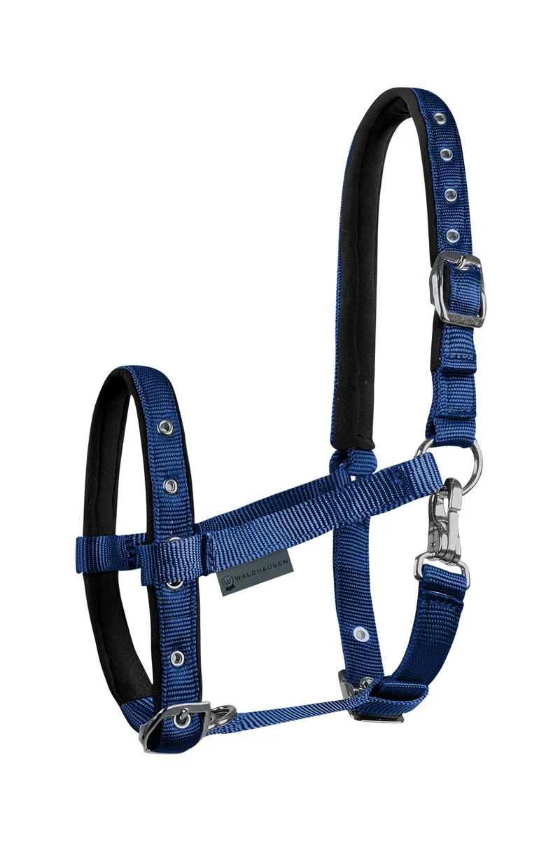 Foal Comfort Halfter Dark Blue Fohlen
