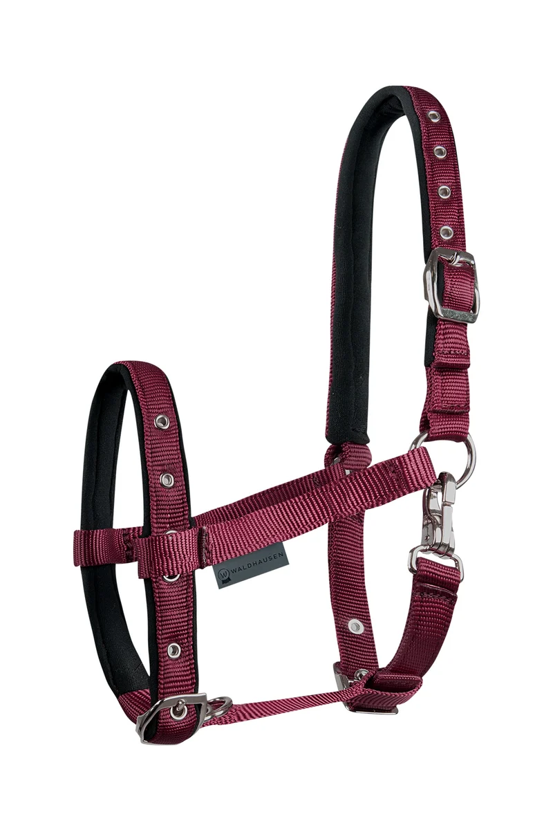 Foal Comfort Halfter Bordeaux Fohlen