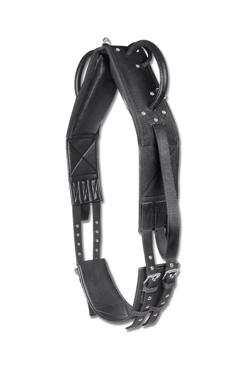 Synthetischer Voltigiergurt Black WB