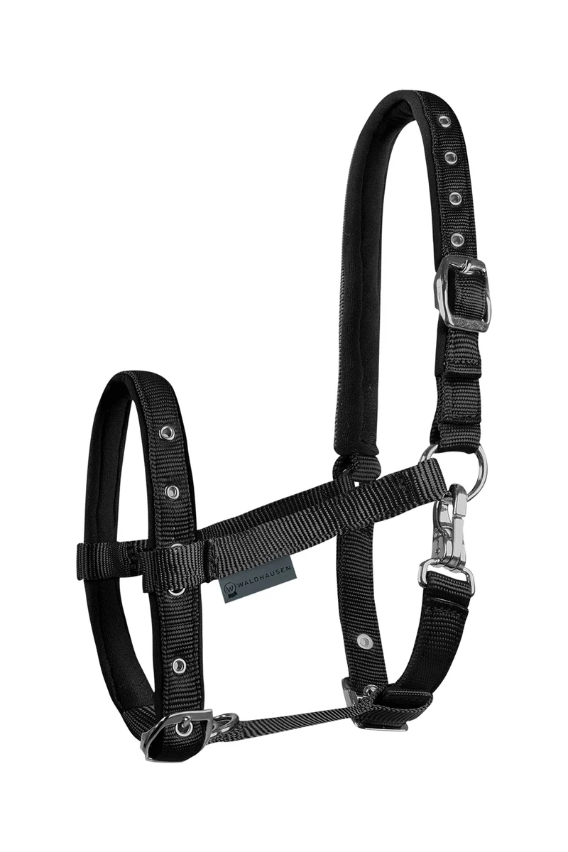 Foal Comfort Halfter Black Fohlen
