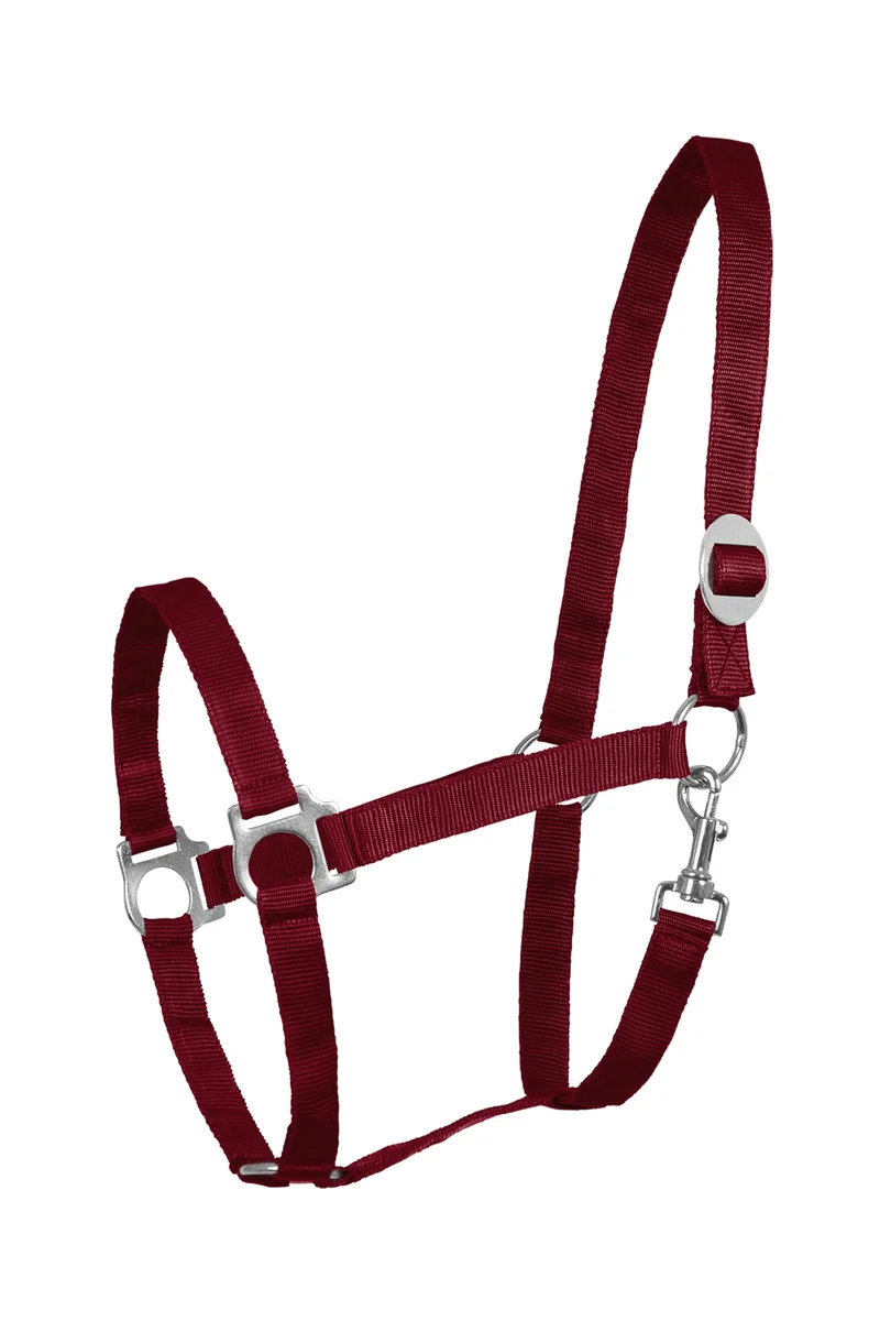 Perlon Halfter Bordeaux V