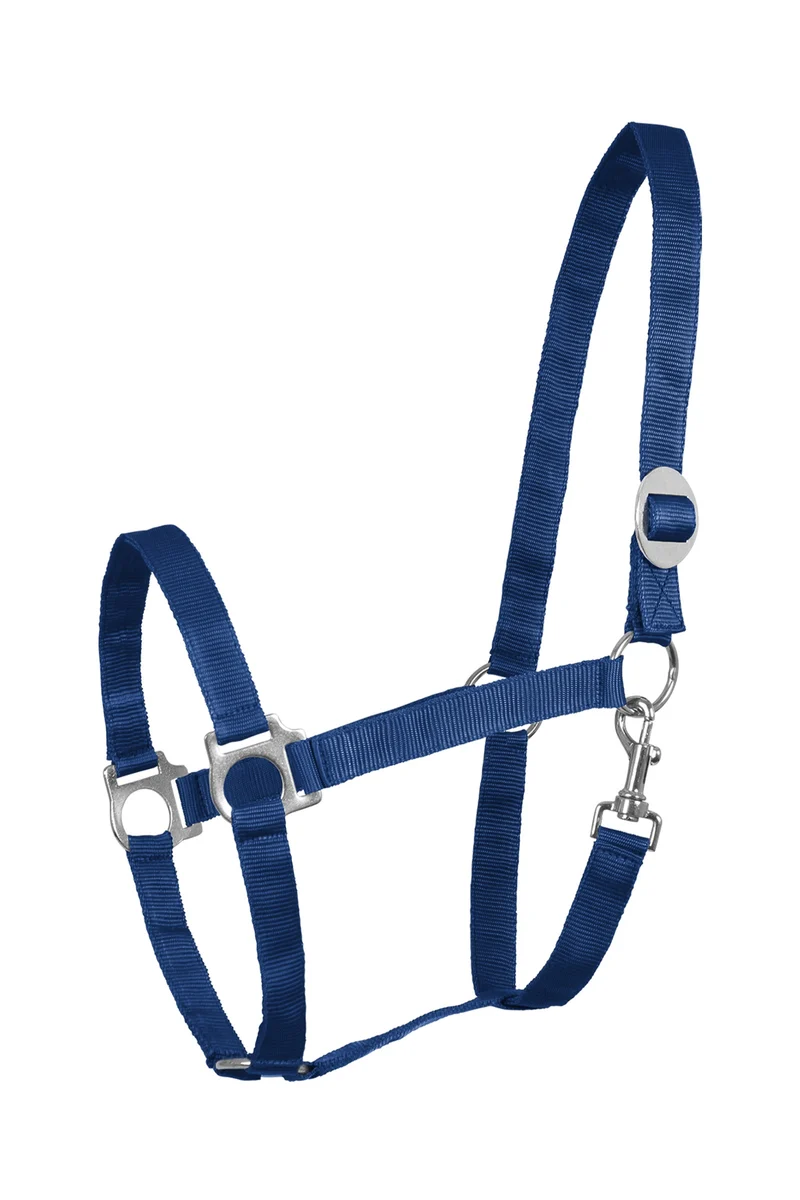 Perlon Halfter Blue P