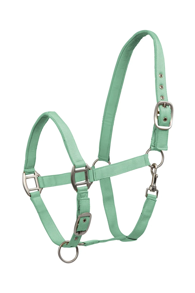 Perlon Satin Halfter Pistachio V