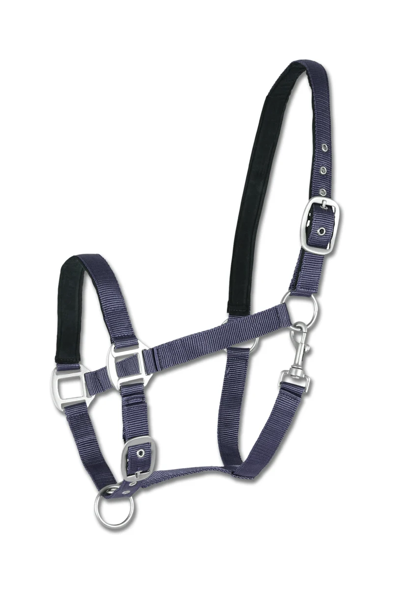 Perlon Satin Halfter Blue SHP