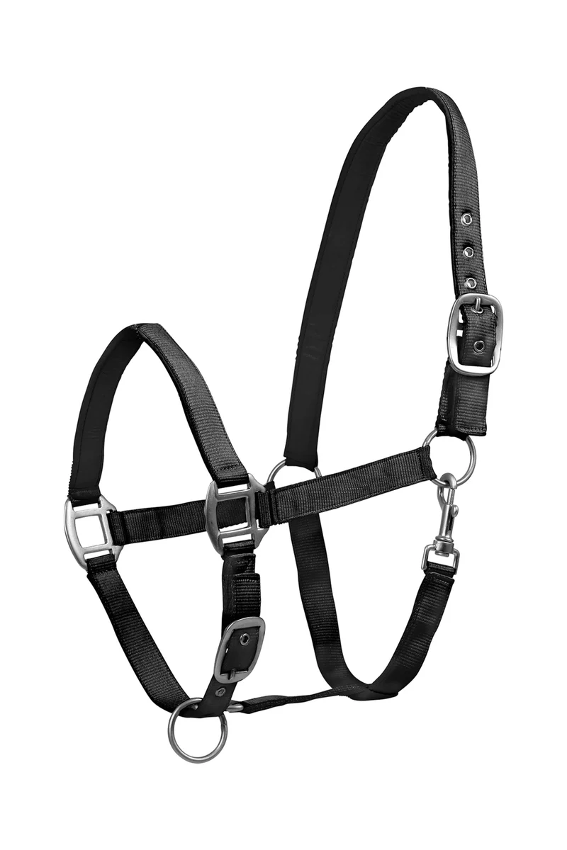 Perlon Satin Halfter Black SHP