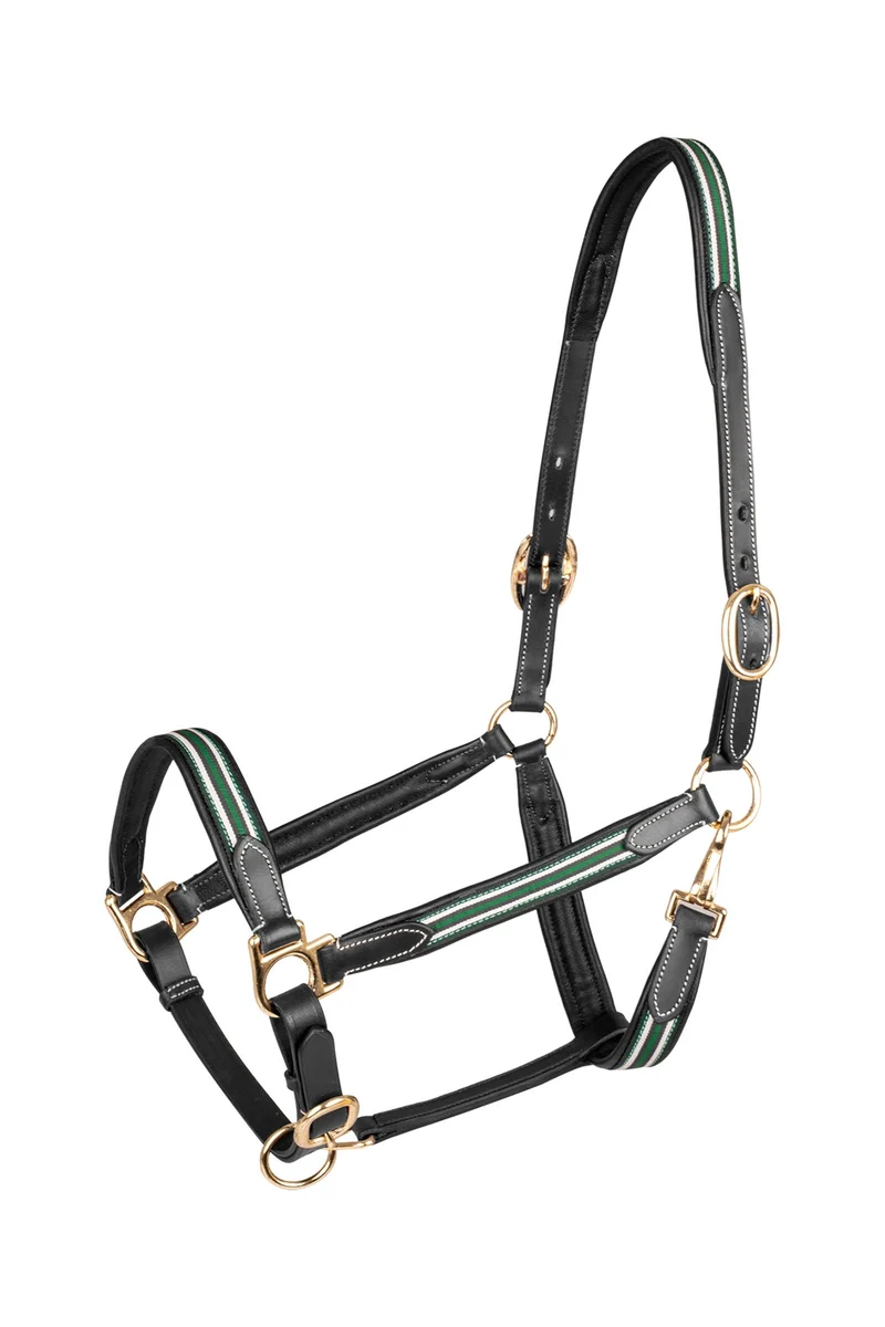 X-Line Oxford Lederhalfter Black/Green WB