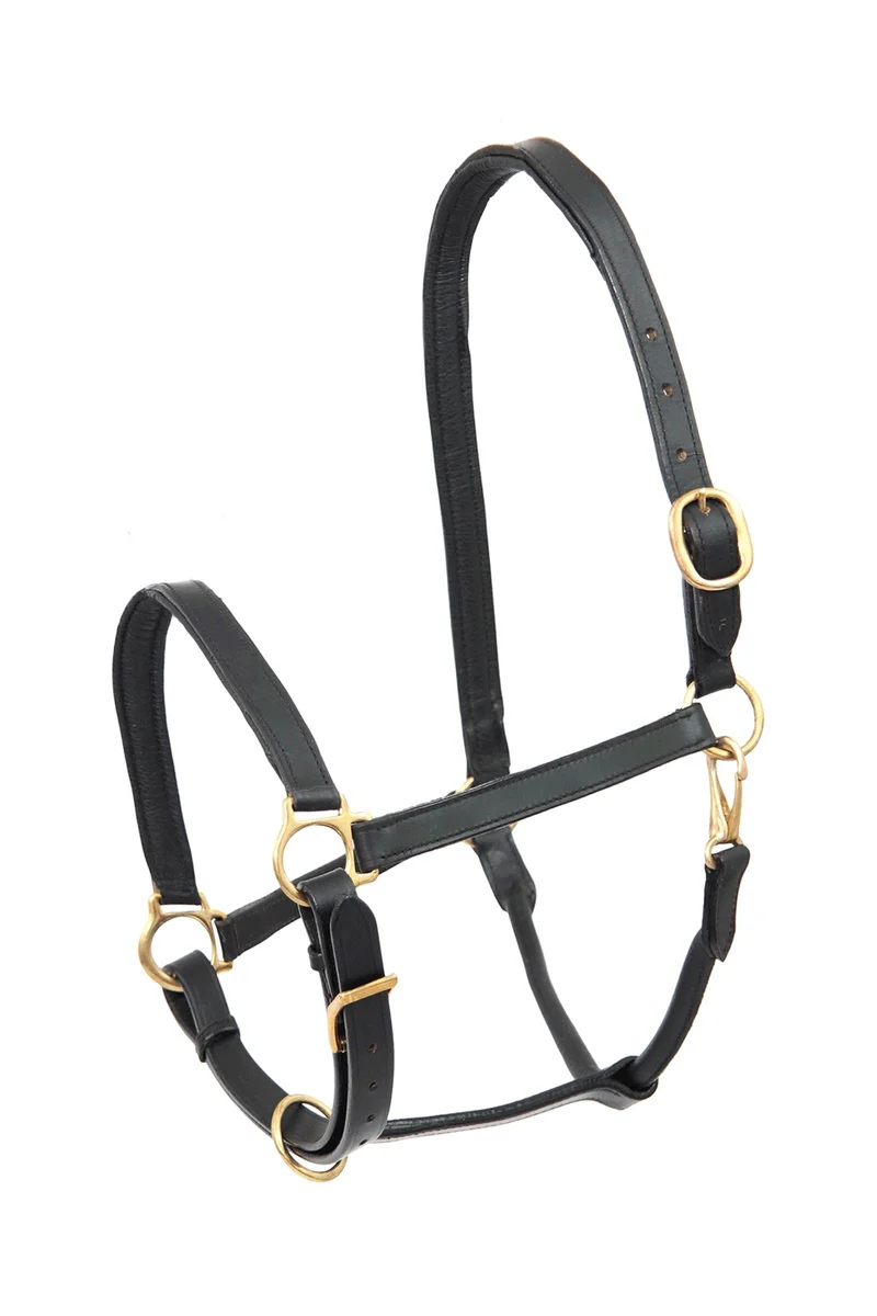 Robus Lederhalfter Black P