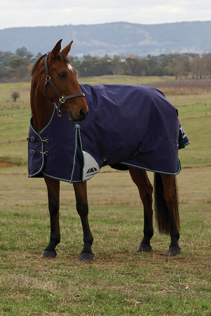 ComFiTecPlus Dynamic Turnout High Neck 100G Navy/Forest Green 125