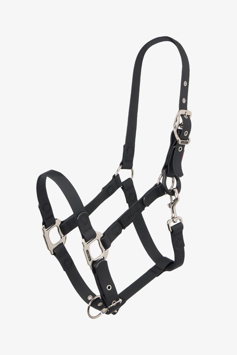 FieldFlex Halfter Black V