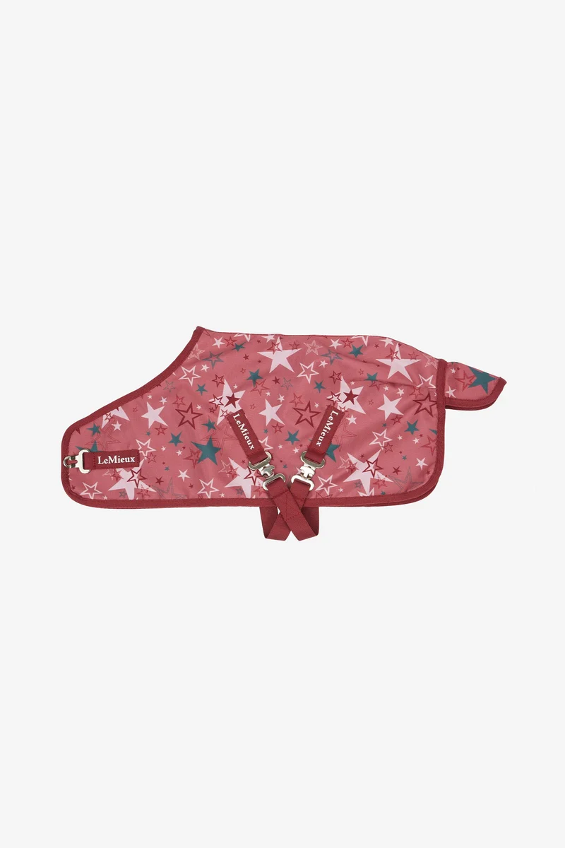 Toy Pony Weidedecke mit Print Spiced Earth Einheitsgröße
