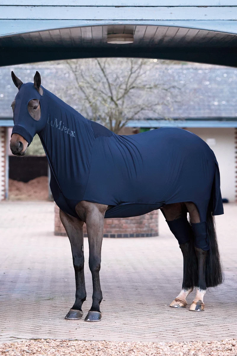 Stretch Showdecke Navy S