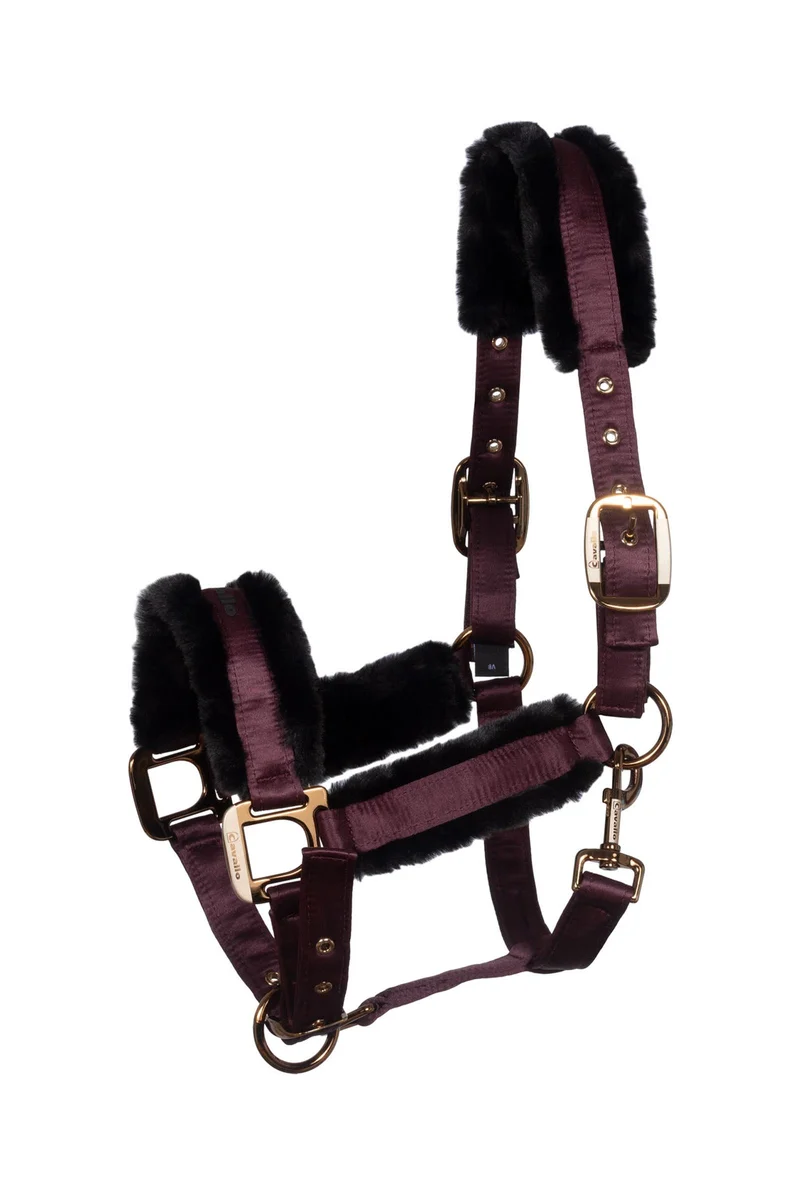 CAVALJERO Halfter Dusty Plum X-Full