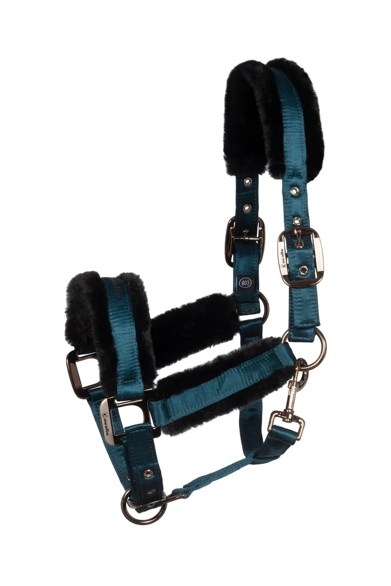 CAVALJERO Halfter Dark Peacock V