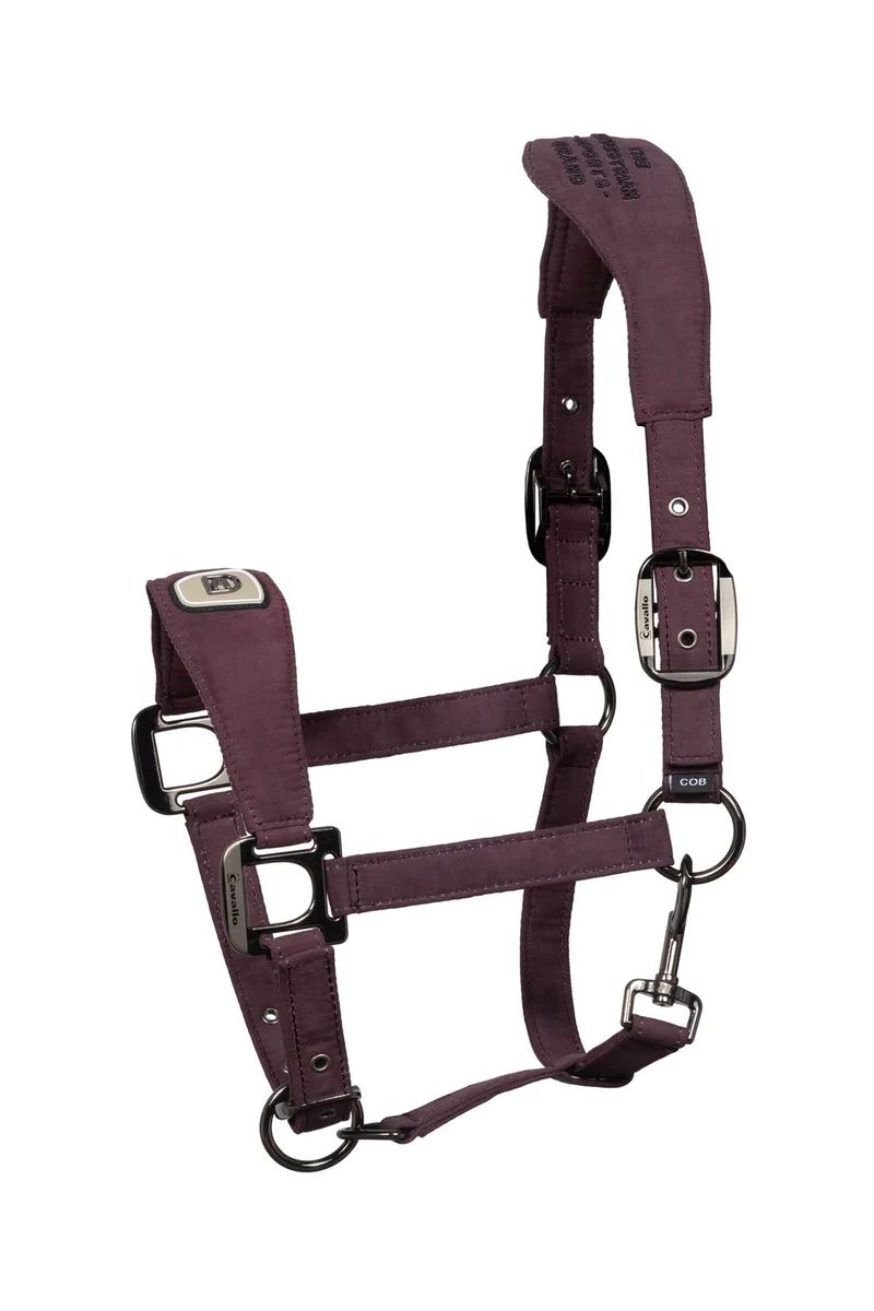 CAVALPAWEL Halfter Dusty Plum V