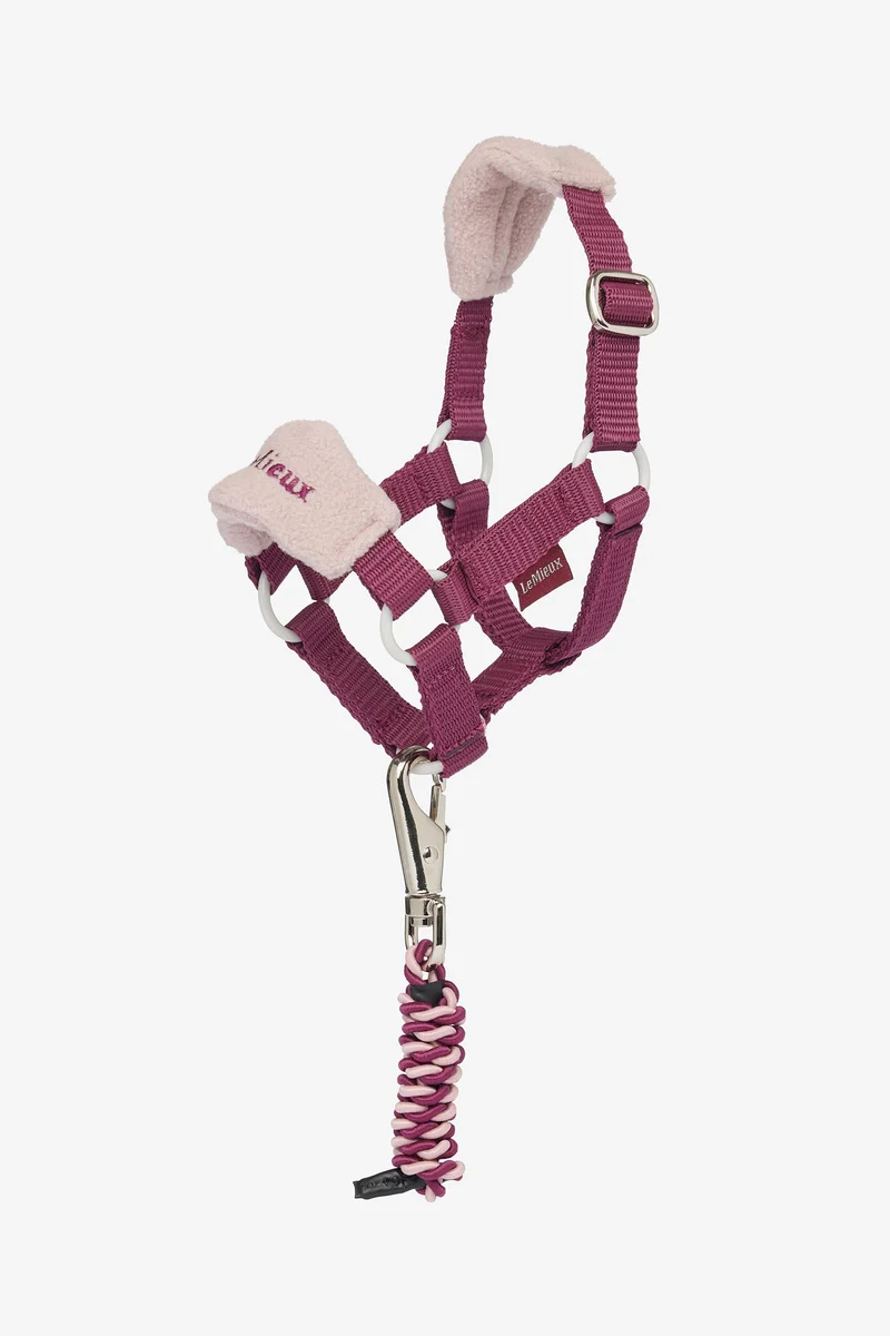 Vogue Spielpony Halfter und Führstrick Blackberry Einheitsgröße