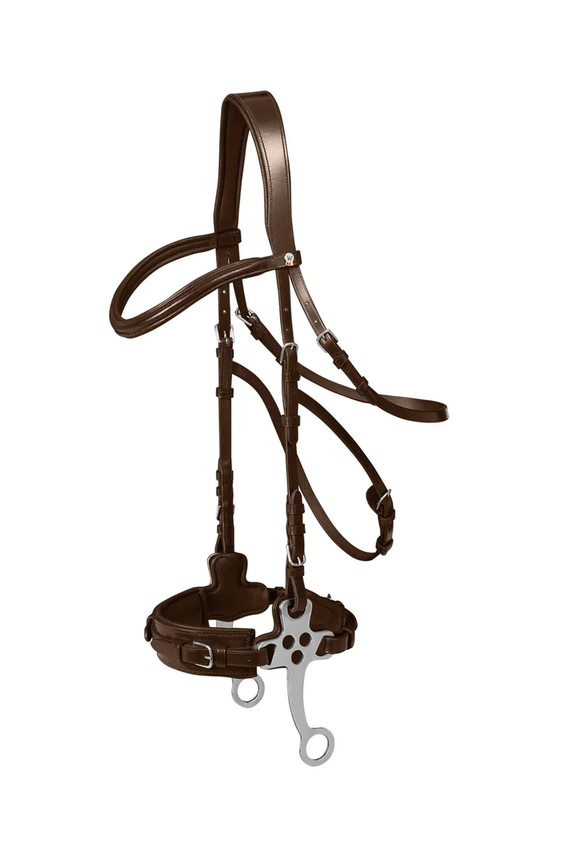 X-Line Hackamore brown V