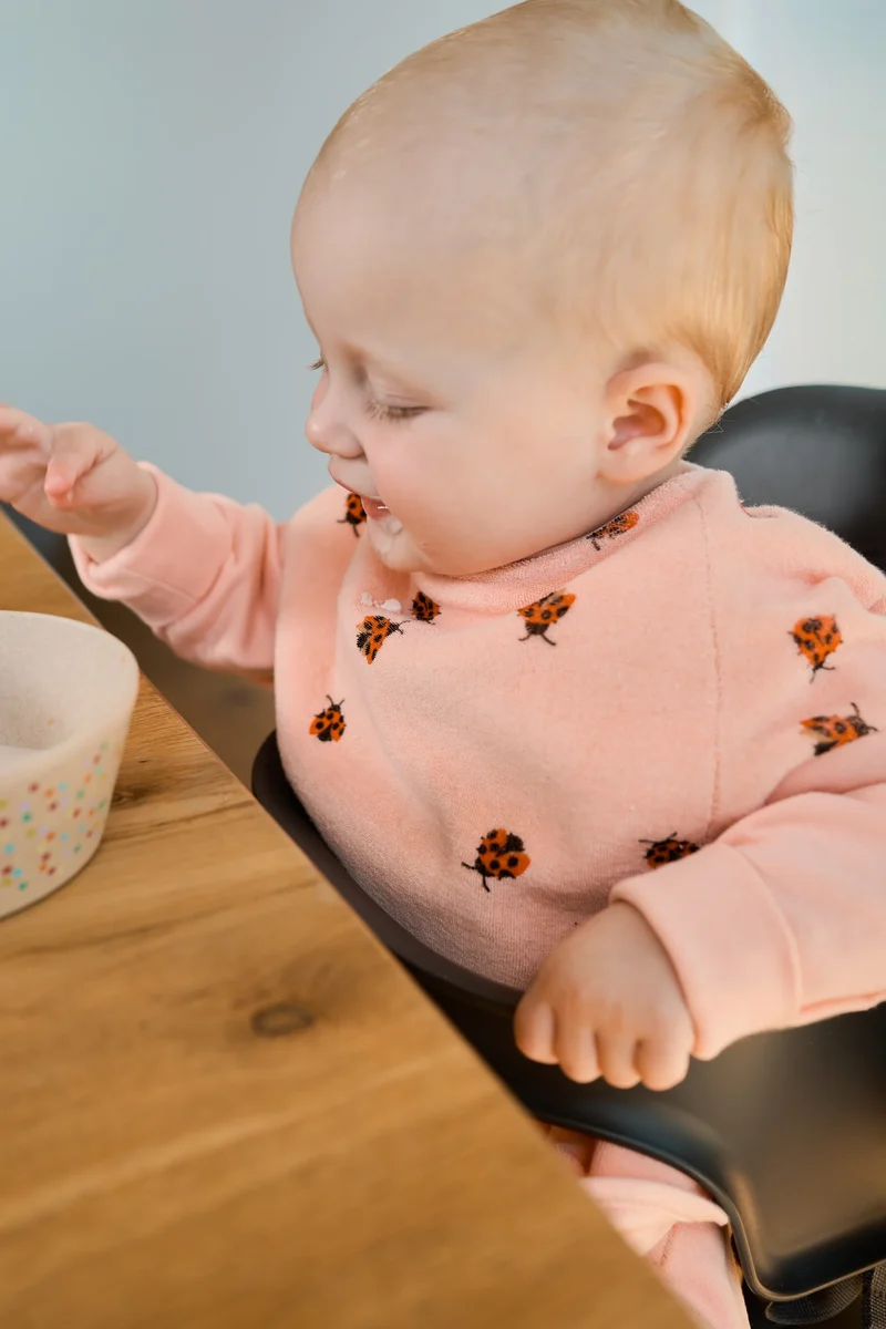Lätzchen Frottee. Love Bugs. wasserdicht | Little Casimir