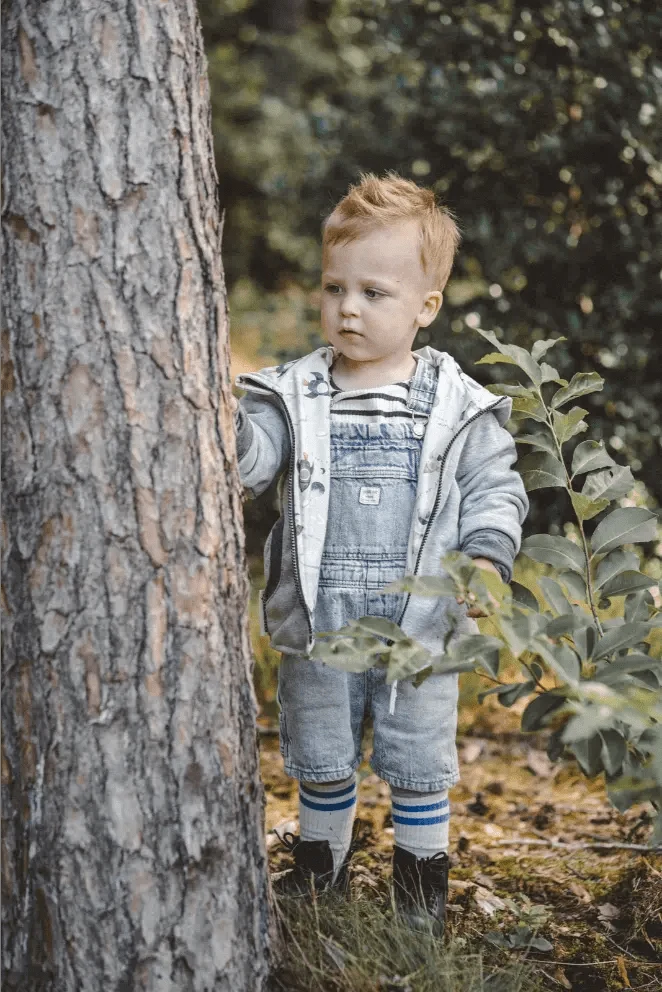 Sweatjacke Kletterkind Grau Rakete