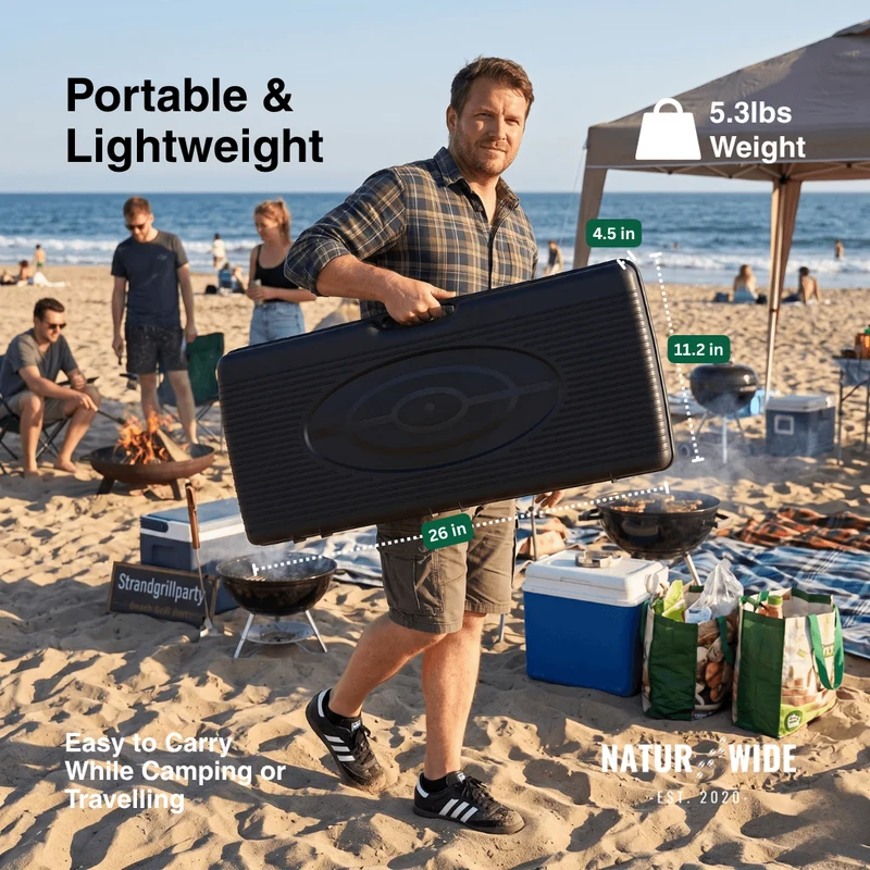 2500W Portable 2-Burner Camping Stove with Grill Tray & Carrying Case