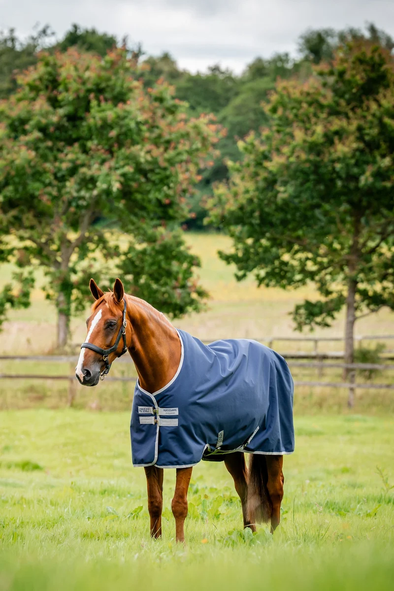 Amigo Ripstop Weidedecke 900D, 0g Witney Navy 140