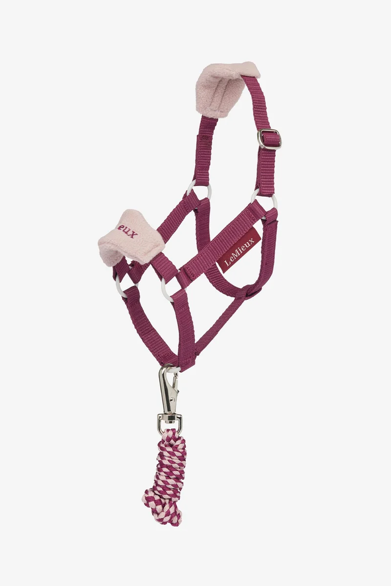 Hobby Horse Vogue Halfter und Führstrick Blackberry Einheitsgröße