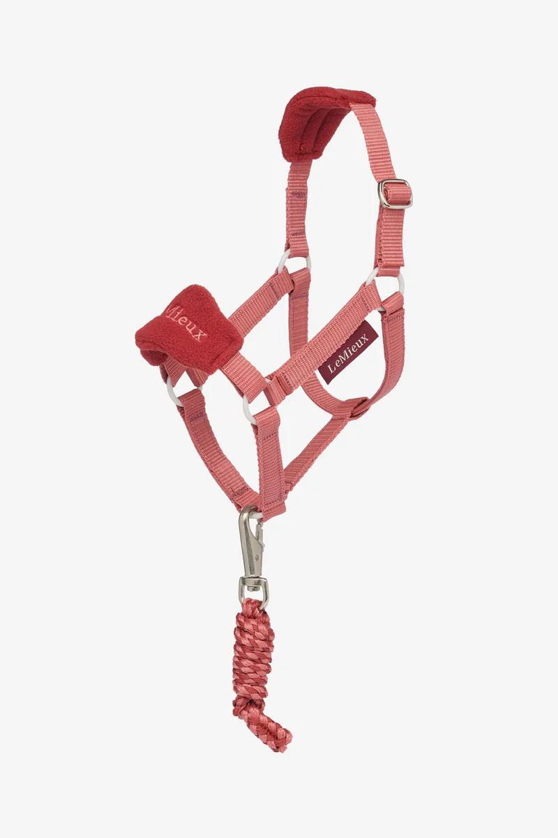 Hobby Horse Vogue Halfter und Führstrick Spiced Earth Einheitsgröße