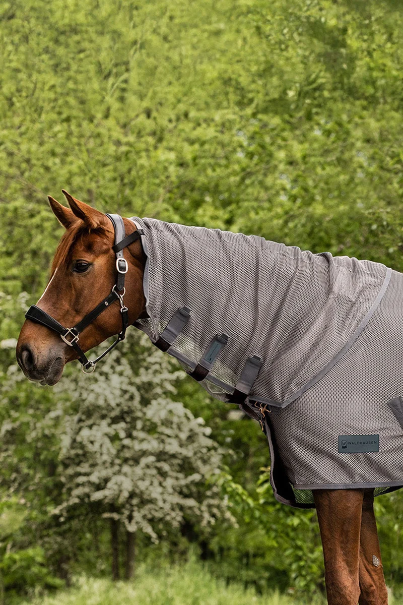 Comfort Fliegenhalsteil Grey WB