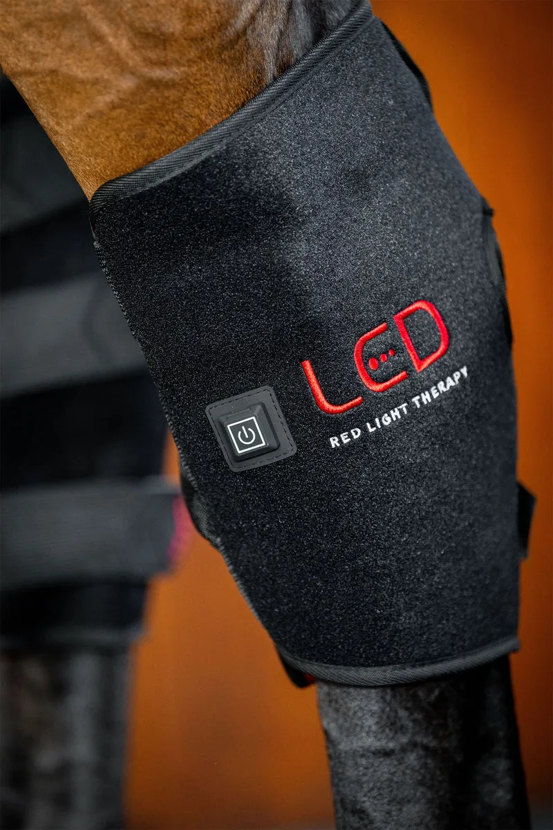 LED Rotlicht-Therapie Sprunggelenksgamasche (1 Stk.) Black/Black Rechts Warmblut