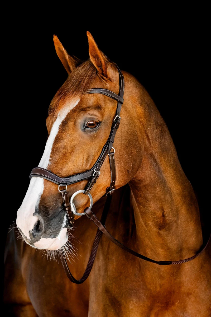 Rambo Micklem Turniertrense Dark Havana Large Cob
